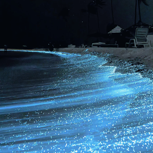 刚开始拒绝后来慢慢接受视频
